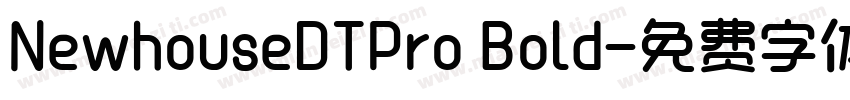 NewhouseDTPro Bold字体转换